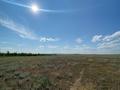 Участок · 22 га, пос Кенеса Нокина за 125 млн ₸ в Актюбинской обл. — фото 23