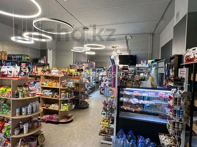 Бизнес, действующий мини-маркет · 122 м² за 28 млн ₸ в Астане, Есильский р-н