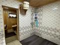 Жеке үй · 5 бөлме · 250 м² · 8 жүзд., улица Фрунзе 148, бағасы: 131 млн ₸ в Семее — фото 12