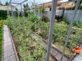 Жеке үй · 5 бөлме · 250 м² · 8 жүзд., улица Фрунзе 148, бағасы: 131 млн ₸ в Семее — фото 17
