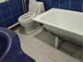 Отдельный дом · 4 комнаты · 120 м² · 6 сот., Шолохова 51 — Диваева-Маншук Маметовой за 300 000 ₸ в Шымкенте, Аль-Фарабийский р-н — фото 4