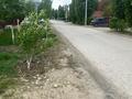 Жеке үй · 6 бөлме · 242 м² · 7.55 сот., мкр 12 — Алмас кылыш, бағасы: 73 млн ₸ в Актобе — фото 4