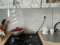 Жеке үй · 3 бөлме · 45 м² · 15 жүзд., Береке көш. 15, бағасы: 25 млн ₸ в Кумтогане (Мирном) — фото 5