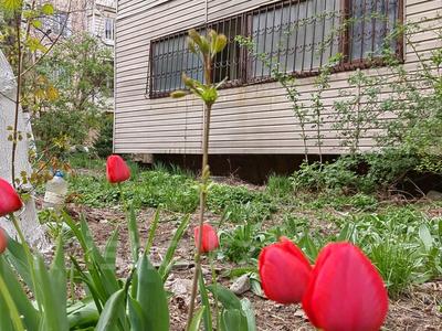 3-бөлмелі пәтер · 90 м² · 1/5 қабат, Калдаякова 89 — Кабанбай батыра, бағасы: 81.5 млн ₸ в Алматы, Медеуский р-н