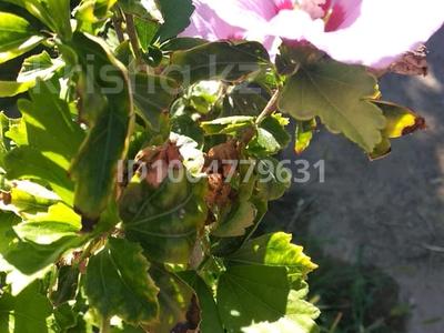 Участок · 1 сотка, ТЭЦ 1 за 450 000 ₸ в Актау