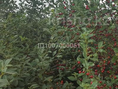 Дача · 1 комната · 15 м² · 6.5 сот., Копа 35А за 6 млн 〒 в Кокшетау