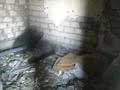 Жеке үй · 4 бөлме · 150 м² · 10 жүзд., Ю.Гагарина 2, бағасы: 15 млн ₸ в Петропавловке — фото 6