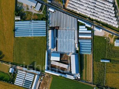 Ауыл шаруашылығы · 20000 м², бағасы: 350 млн ₸ в Шымкенте