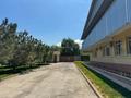 Өнеркәсіптік база · 50 сотық, Волочаевская 387 — Рыскулова, бағасы: 1.5 млрд ₸ в Алматы, Турксибский р-н — фото 35
