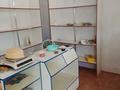 Отдельный дом · 5 комнат · 110 м² · 8 сот., Әльфараби 26 за 10 млн ₸ в Узынагаш — фото 11