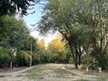 3-комнатная квартира · 63.2 м² · 3/5 этаж, мкр Тастак-2, Тлендиева за 45 млн ₸ в Алматы, Алмалинский р-н — фото 48