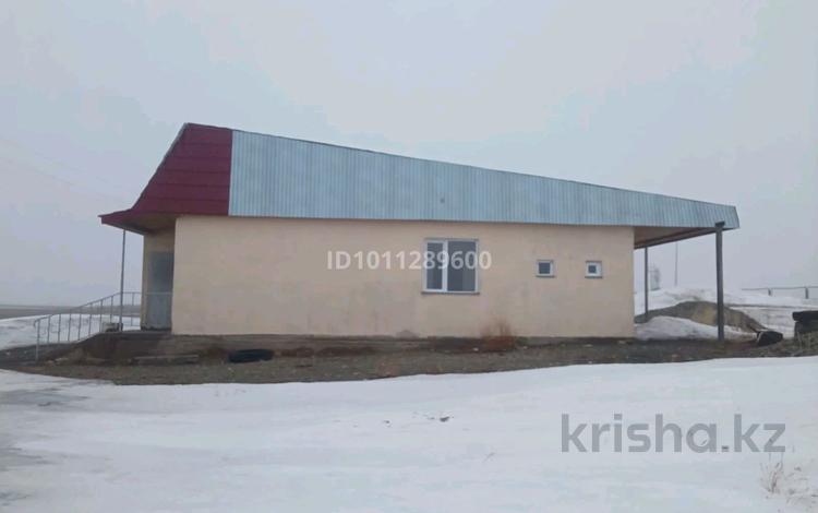 Придорожное кафе · 151 м² за 20 млн ₸ в Коктасе — фото 2