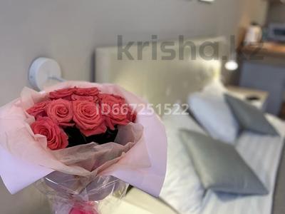 1-бөлмелі пәтер · 30 м² · 5/12 қабат, Шевченко 85 — Сейфуллина, бағасы: 17 000 ₸ в Алматы, Алмалинский р-н