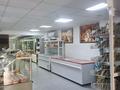 Магазины и бутики, общепит • 200 м² за 1.1 млн 〒 в Актау, 2-й мкр — фото 6