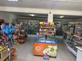 Свободное назначение, магазины и бутики • 400 м² за 60 млн 〒 в Таразе — фото 5