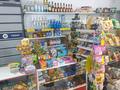 Магазины и бутики · 55 м² за 200 000 ₸ в Астане, Сарыарка р-н — фото 3