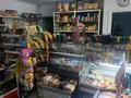 Магазины и бутики · 55 м² за 200 000 ₸ в Астане, Сарыарка р-н — фото 5