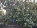 Отдельный дом · 4 комнаты · 70 м² · 4 сот., Бобровка 78 — Центральной мечети за 25 млн ₸ в Семее — фото 12