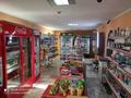 Магазины и бутики • 90 м² за 47 млн 〒 в Алматы, Турксибский р-н — фото 4