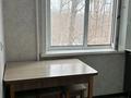 2-бөлмелі пәтер · 44 м² · 4/5 қабат, Пр Н Назарбаева 77 — Кутузова-тостого, бағасы: 18.5 млн ₸ в Павлодаре — фото 13