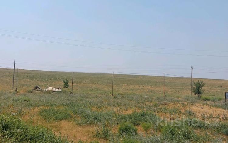 Участок · 5 соток, Аргымак за 3.5 млн 〒 в Шымкенте — фото 2