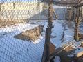 Отдельный дом · 3 комнаты · 40 м² · 4 сот., 1680 167 — Мкр Береке за 10 млн ₸ в Байсерке — фото 6
