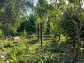 Отдельный дом · 8 комнат · 490 м² · 15 сот., Чинор тепа 1 1 — Таш обл, Бостандыкский район, п Паргос, (РТС), улица Чинор тепа,1, улица Чинар 1. за ~ 30 млн ₸ в Ташкенте — фото 7