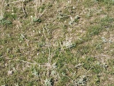 Участок · 10 соток, Самал 11 линия 14 за 4 млн 〒 в Конаеве