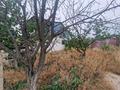 Отдельный дом · 3 комнаты · 37 м² · 12 сот., Южная 5 за 7.5 млн ₸ в Конаеве — фото 13