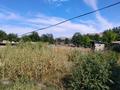 Отдельный дом · 5 комнат · 120 м² · 10 сот., Қонаев 20 — Көшенің соңында за 15 млн ₸ в Кызылагаш — фото 10
