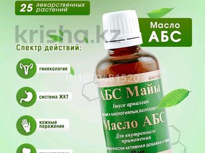 Готовый бизнес с ТОО · 60 м² за 300 млн ₸ в Алматы