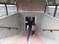 Еркін · 360 м², бағасы: 80 млн ₸ в Шымкенте, Туран р-н — фото 2