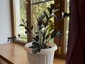 2-бөлмелі пәтер · 40.5 м² · 2/4 қабат, Жарокова 192 — Габдуллина, бағасы: 32 млн ₸ в Алматы, Бостандыкский р-н — фото 3