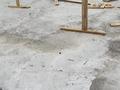 Жеке үй · 5 бөлме · 300 м² · 10 жүзд., Көлтабан 19 б, бағасы: 16 млн ₸ в Бейнеу — фото 17
