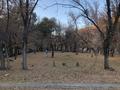 Участок · 12 соток, Кошевой 2А — Кунаева пересечение Кошевой, школа #2 за ~ 5.4 млн ₸ в Текели — фото 5