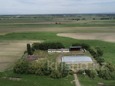 Отдельный дом · 10 комнат · 500 м² · 80 сот., Кулибина за 232 млн ₸ в 