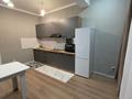 1-бөлмелі пәтер · 45 м² · 11/20 қабат, Абая 164 — Брусиловского, бағасы: 18 000 ₸ в Алматы, Бостандыкский р-н — фото 9