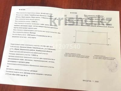 Участок · 1 га, Мерке за 15 млн ₸