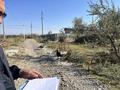 Участок · 10 соток, Бурылскии сельский округ село Бурыл массив Арай 278 за 3 млн ₸ в Жамбылской обл., Байзак — фото 3