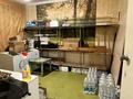 Магазины и бутики · 64 м² за 21 млн ₸ в Чапаево — фото 7
