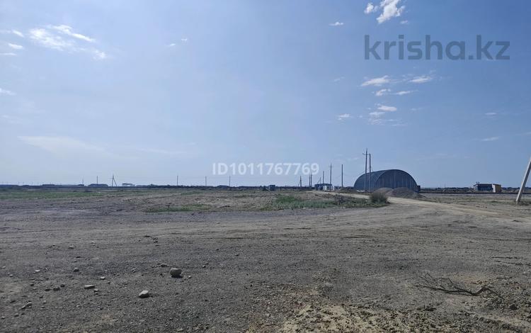 Жер телімі · 1 га, Жаналык (Талгарский район), бағасы: 47 млн ₸ — фото 2