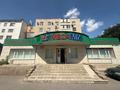 Еркін · 302 м², бағасы: ~ 1.1 млн ₸ в Астане, Сарыарка р-н — фото 7
