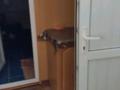 Отдельный дом · 3 комнаты · 80 м² · 15 сот., Конаева 9 — Больница Школа за 8 млн ₸ в Мойынкуме — фото 8