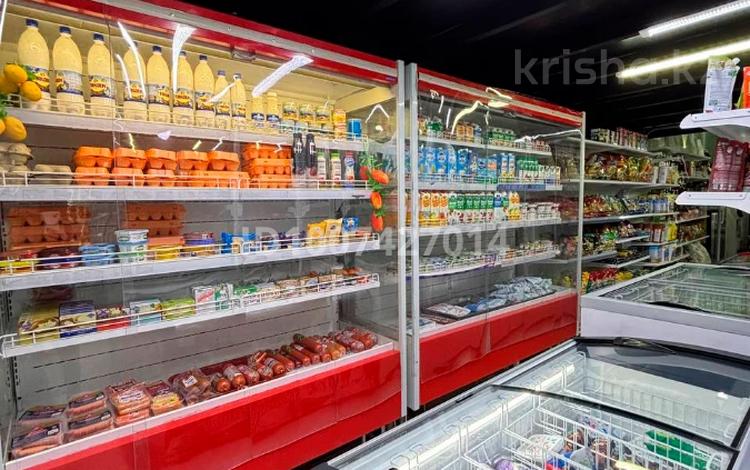 Бизнес продуктовый магазин · 140 м², бағасы: 18.5 млн ₸ в Астане, Нура р-н — фото 2