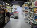Бизнес продуктовый магазин · 140 м² за 16 млн ₸ в Астане, Нура р-н — фото 25