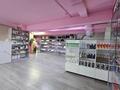 Бизнес продуктовый магазин · 140 м² за 16 млн ₸ в Астане, Нура р-н — фото 31