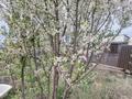Жеке үй · 7 бөлме · 300 м² · 8 жүзд., 126 11 — Сусамыр, бағасы: 16 млн ₸ в Астане, р-н Байконур — фото 15
