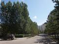 3-бөлмелі пәтер · 178 м² · 3/5 қабат, Домалак ана 14/1, бағасы: ~ 110.8 млн ₸ в Астане, Нура р-н — фото 3