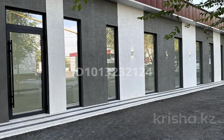 Еркін, дүкендер мен бутиктер · 225 м², бағасы: 1 млн ₸ в Шымкенте — фото 39