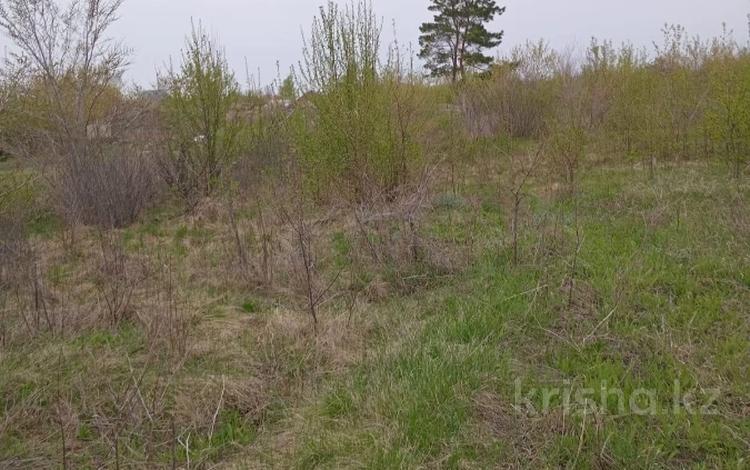 Участок · 10 соток, 14 19 за 2 млн ₸ в Затобольске (Тобыле) — фото 3